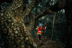 BIB: 
                            <button type="button" onclick="openModal(25698031)" class="btn btn-primary btn-sm float-right btn-popup" data-toggle="modal" data-target=".modal-high-quality">
                        <i class="fas fa-shopping-cart"></i> Add to Cart
                    </button>
                                            <button type="button" onclick="isThisMe(25698031, true)" class="btn btn-success btn-sm float-right btn-popup btn-isme hidden" data-toggle="tooltip" data-placement="bottom" title="นี่คือรูปของคุณใช่ไหม คลิกที่นี่เพื่อเอาเข้าอัลบั้ม">
                        <i class="fas fa-plus"></i> Add to album
                    </button>
                    <button type="button" onclick="isThisMe(25698031, false)" class="btn btn-warning btn-sm float-right btn-popup btn-isnotme hidden">
                        <i class="fas fa-ban"></i> Remove from album
                    </button>